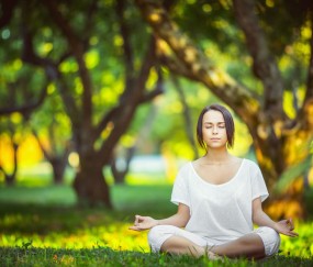 世界杯押注入口-荷兰队赛前核心球员释放争胜强音